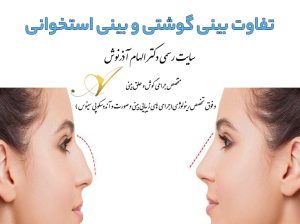 تفاوت بینی گوشتی و بینی استخوانی